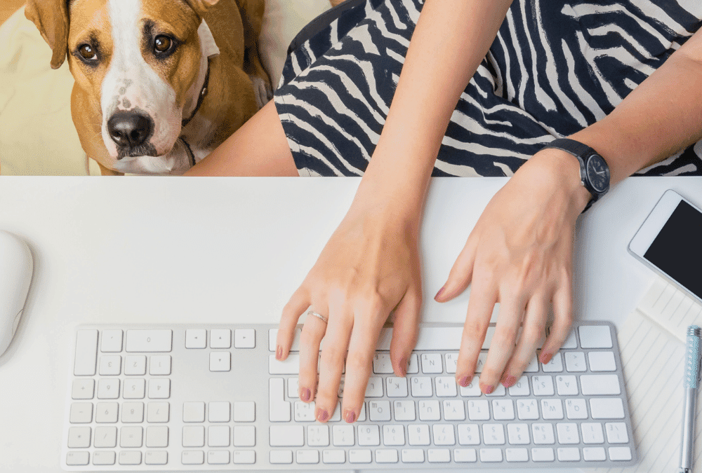 Cleaning tips for pet-friendly workspaces