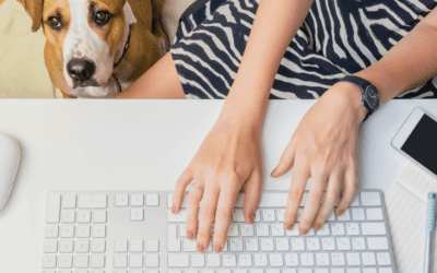 Cleaning tips for pet-friendly workspaces