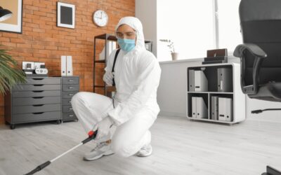 Deep cleaning services: eliminate germs and protect your TEAM