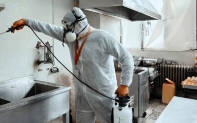 Restaurant Cleaning: Food Hygiene and Safety